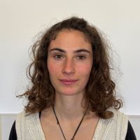 foto,  10 novembre 2025