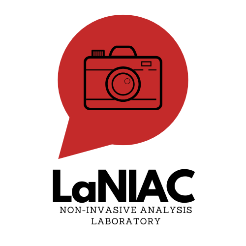 logo laniac