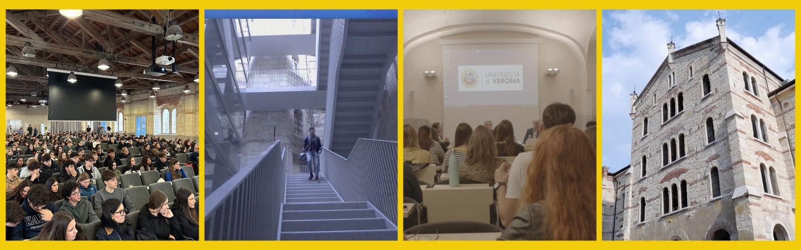 I corsi di laurea del dipartimento di Management