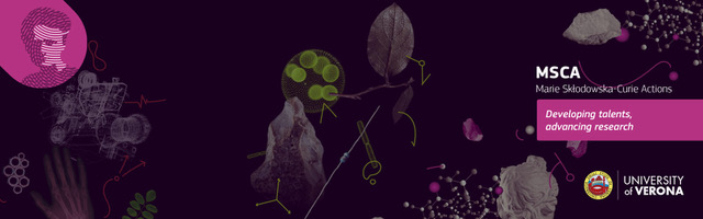 Webinar online sul bando MSCA Postdoctoral fellowships 2026