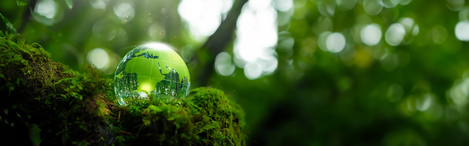 La speranza verde. Tecniche di Evoluzione Assistita: Nutrire il pianeta nelle sfide di un mondo che cambia
