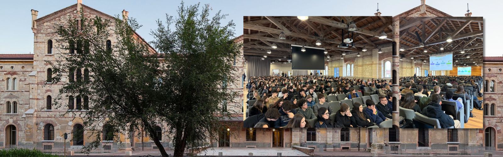 I corsi di laurea del dipartimento di Management