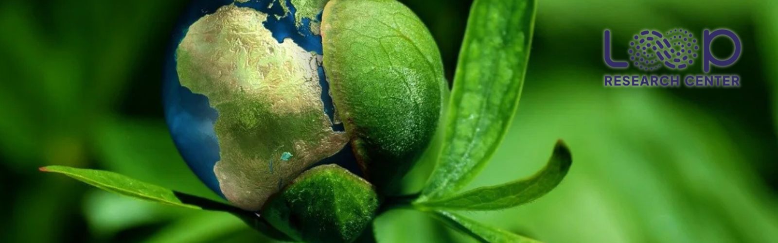 Iscriviti alla newsletter del centro Loop