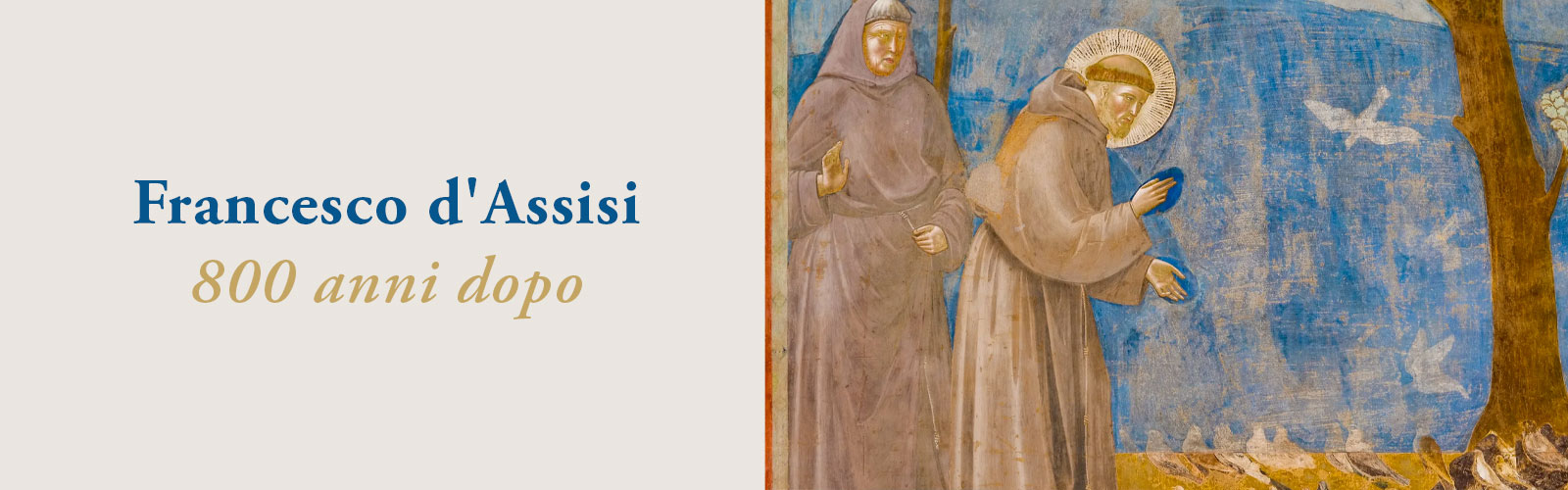 Francesco d'Assisi 800 anni dopo