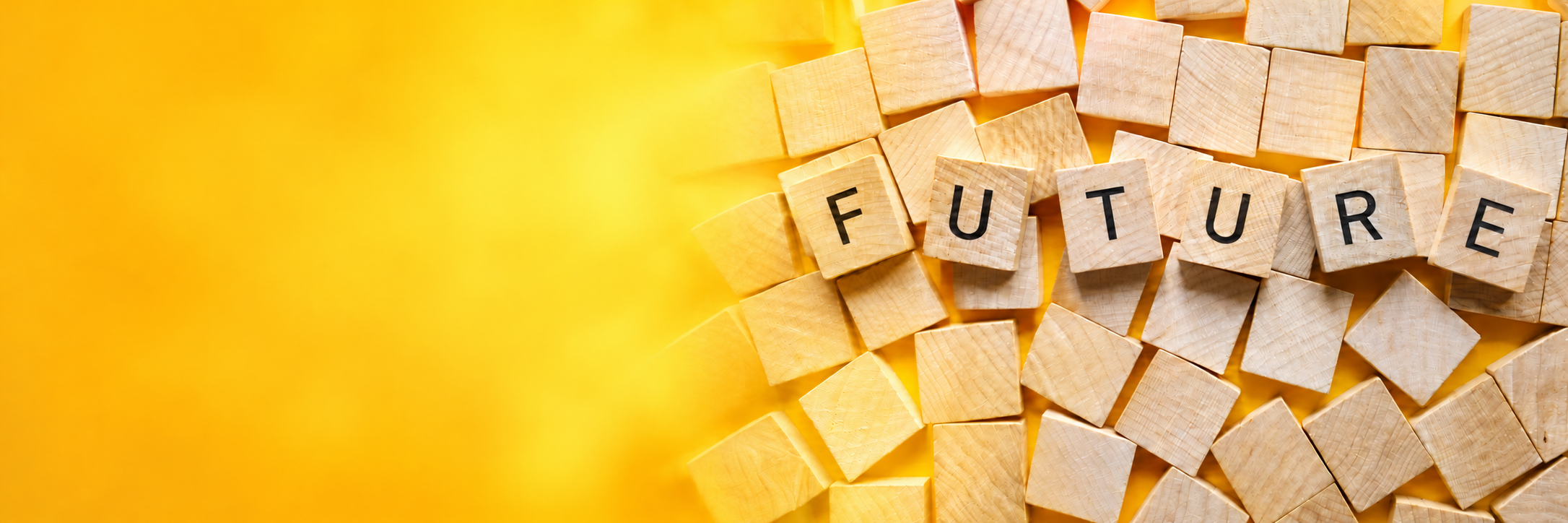 Progetta il tuo futuro universitario e professionale