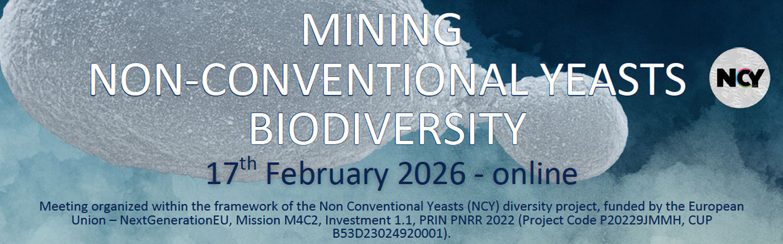 Mining Non-Conventional Yeasts Biodiversity