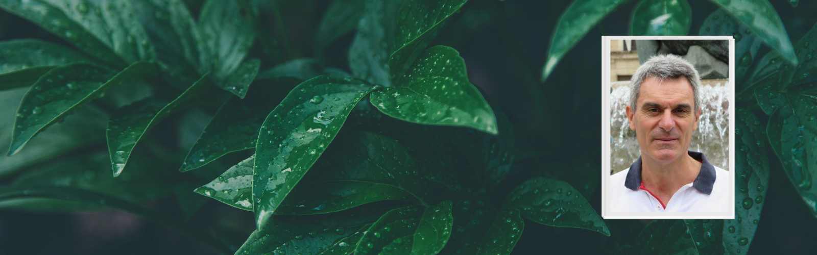 Nicola Mori eletto Presidente AIPP