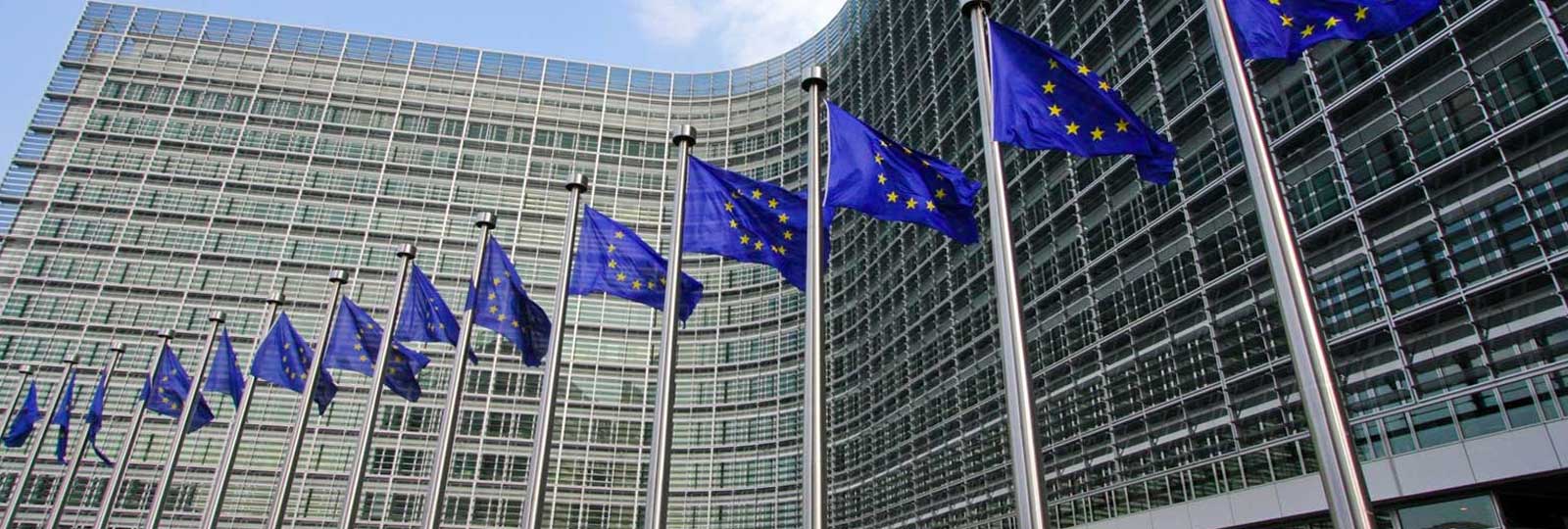 Progetti finanziati dall'Unione Europea (UE)