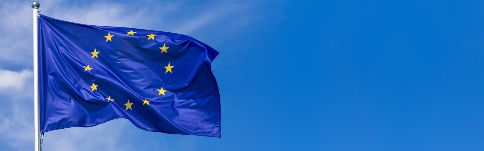 L'ora dell'Europa. Le elezioni europee: problemi, possibilità e prospettive