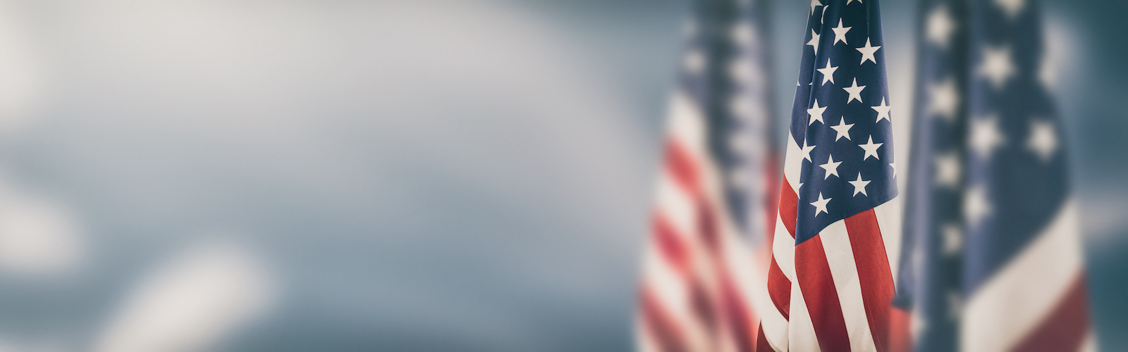 Courses in Private Comparative Law and Public Comparative Law - Lectures on U.S. Constitutional Law - Visiting professor Prof. Tuan Samahon