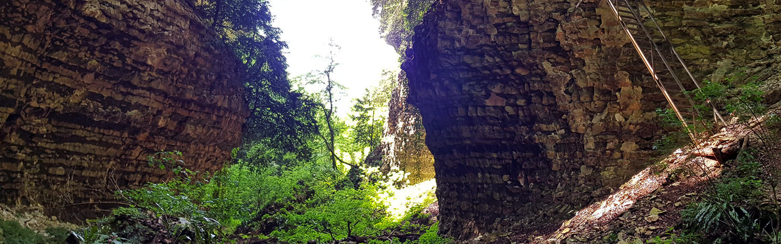 Natura, storia e letteratura del Vajo Borago