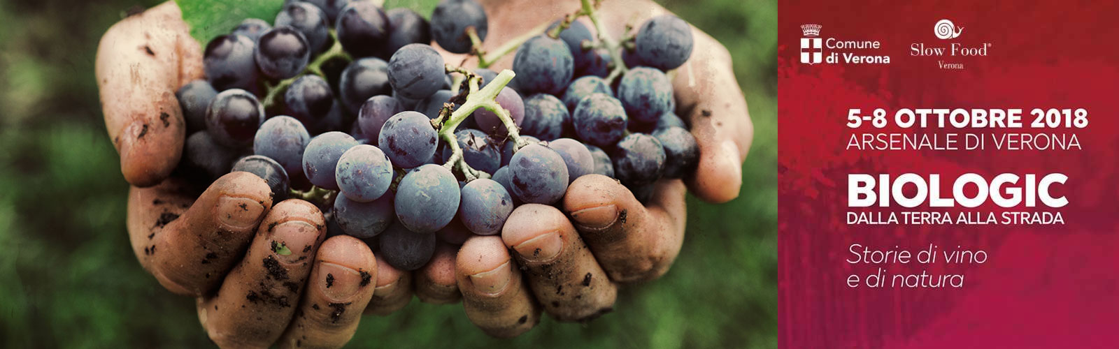 GoTo Science:  Vino, territorio e sostenibilità. Cosa scegliamo?