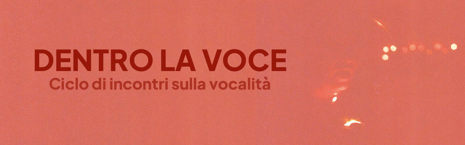 Dentro la voce