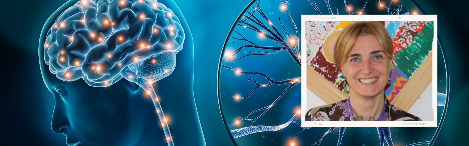 Body and brain: the sensory-motor system in cognition