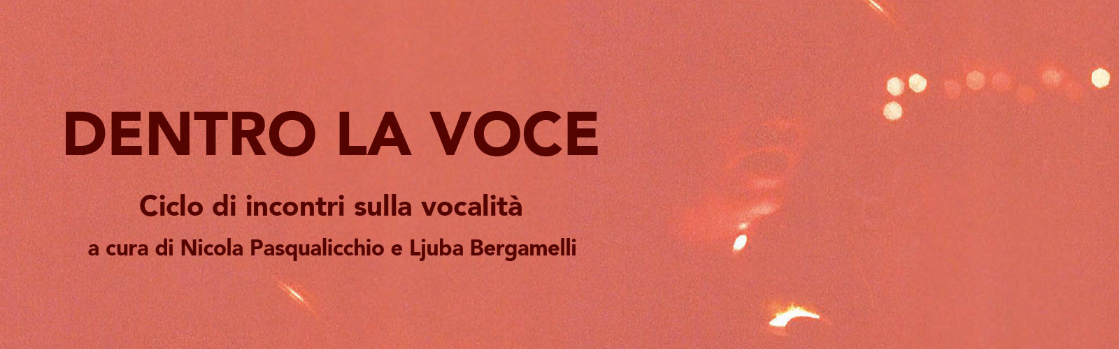 Dentro la voce