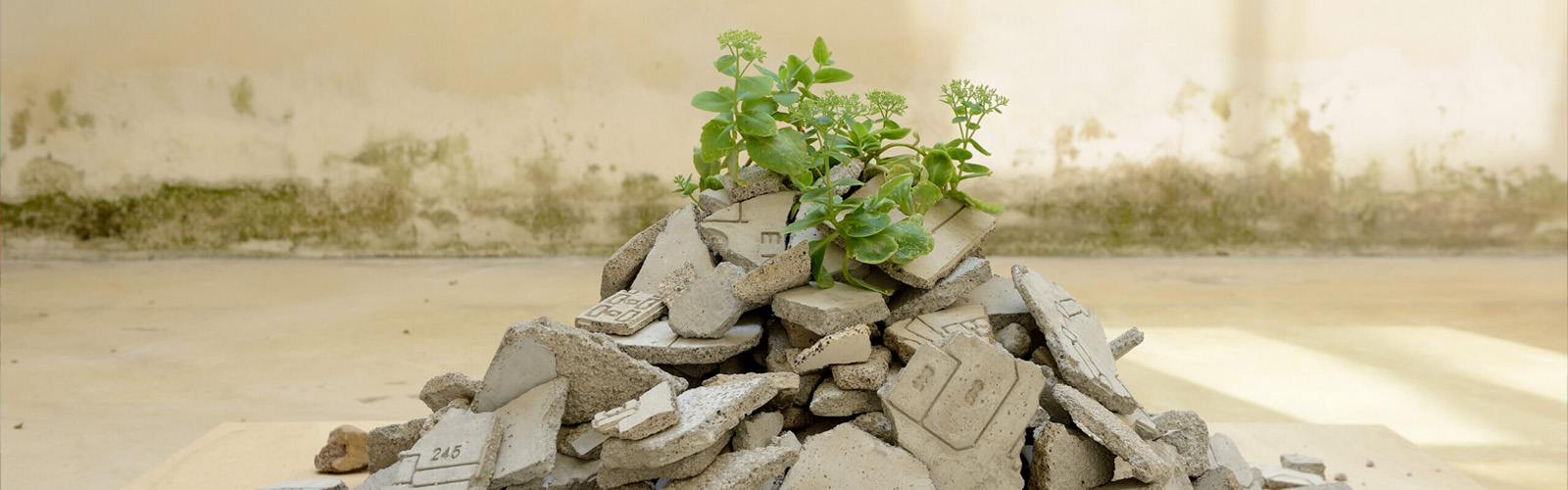INQUADRARE IL CONTEMPORANEO. Metodi, sguardi e narrazioni nel museo universitario