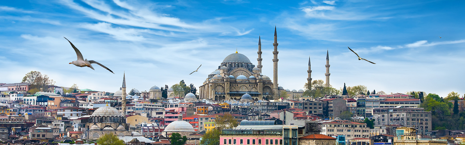 Presentazione e proiezione del film TOZ BEZI