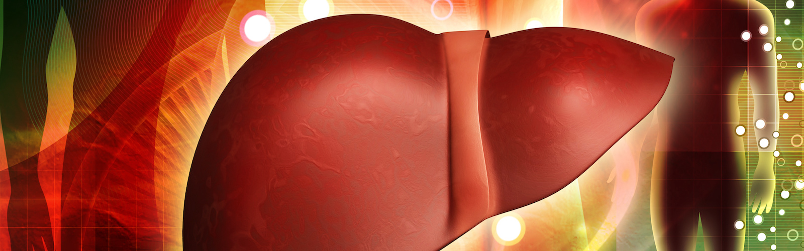 Giornata veronese del fegato