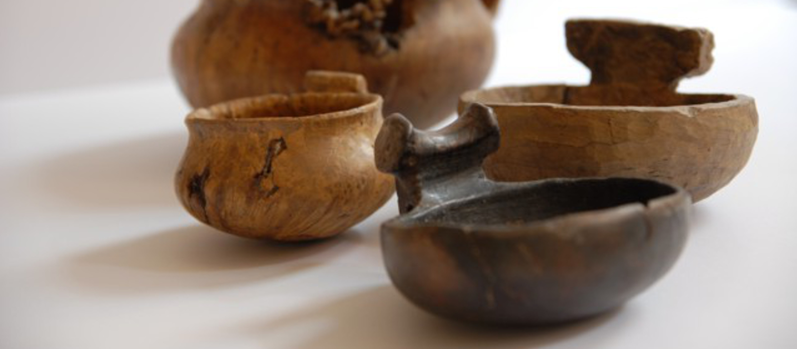 I resti vegetali dalle palafitte e la produzione di cibo nella preistoria