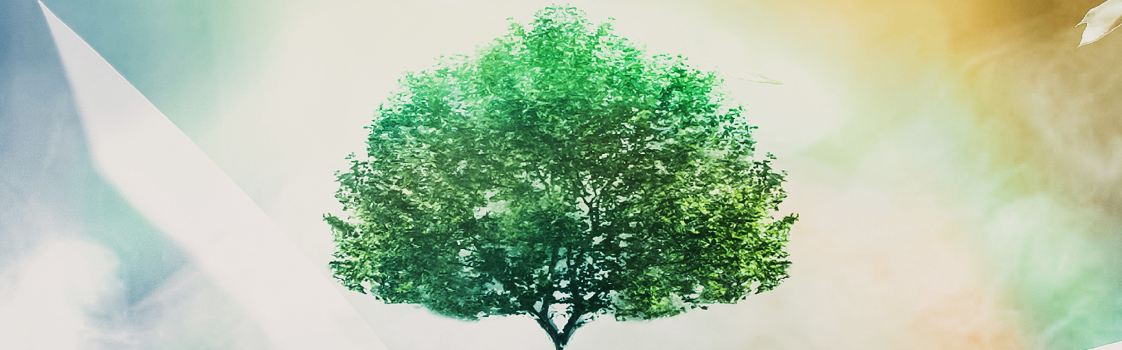 Lezione zero per la sostenibilità: tematiche e interventi prioritari in relazione agli obiettivi dell’agenda 2030