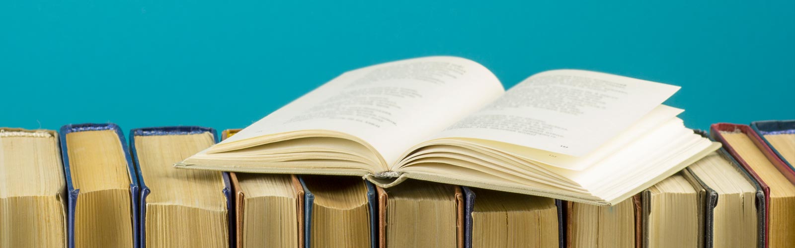 Di cosa (e a chi) parliamo quando parliamo di letteratura italiana