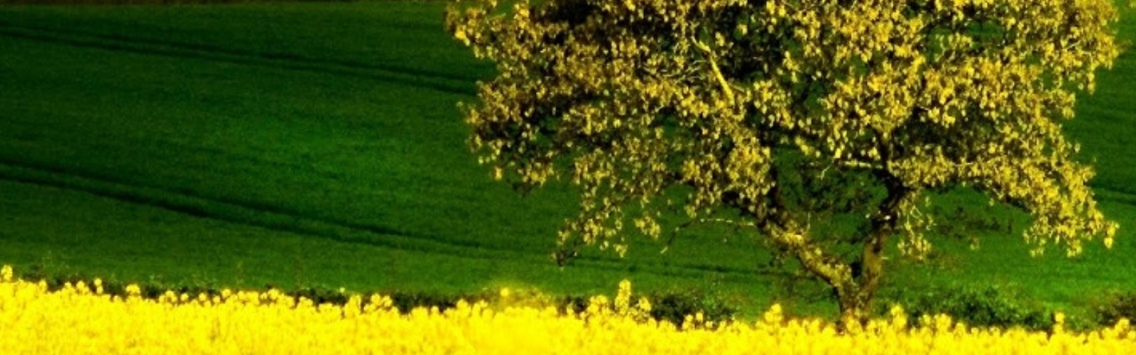 I territori nella convenzione europea del paesaggio