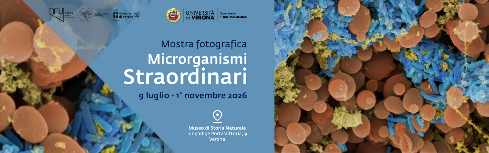 Microrganismi straordinari