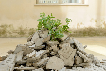 INQUADRARE IL CONTEMPORANEO. Metodi, sguardi e narrazioni nel museo universitario