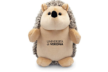 Il riccio di UNIVR