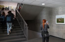 Giornata del Contemporaneo 2024. Visita guidata alla mostra d'arte contemporanea 