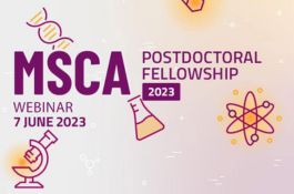 Webinar MSCA Postdoctoral Fellowship - Focus on template