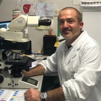 Foto Profilo,  24 aprile 2026