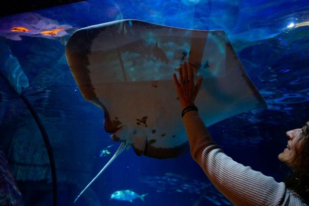 foto profilo,  25 marzo 2026