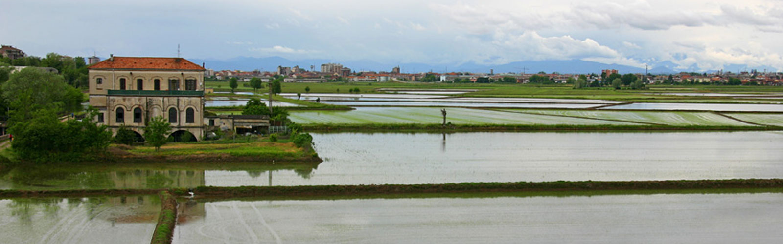Understanding the carbon source/sink functions of paddy soils: a challenge for sustainable rice cropping systems